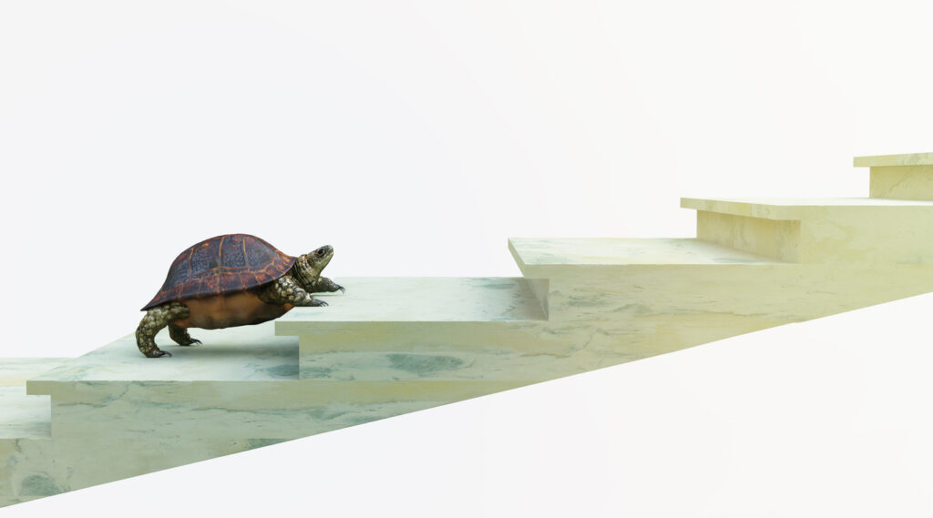 turtle moves up the steps