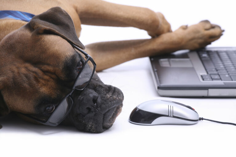 A boxer type dog appears tired as he rests his hands on a laptop. He wears glasses and in front of his muzzle is a computer mouse.