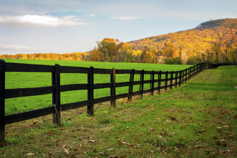 keep your grass as green as possible