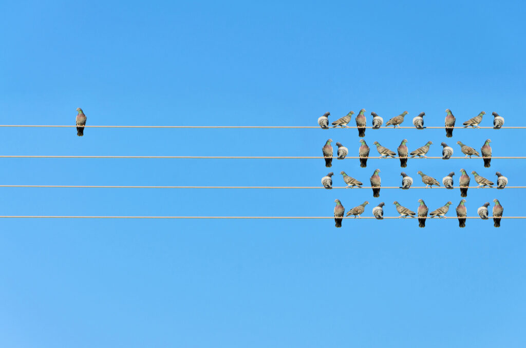 birds on a wire with one separate from the rest