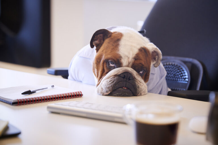 stop the bad hires